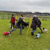 2024_Hundeplus_Schnappschuesse_IMG_3092