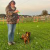 2024_hundeplus_schnappschuesse_04dfd67b-d039-4069-b4c0-8253b566ccf2