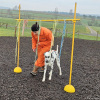 2024_hundeplus_schnappschuesse_5ac3d97e-526c-49c9-8045-6373987ead08