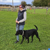 2024_hundeplus_schnappschuesse_6495b1e3-9189-4020-9e6d-f076ec7163f8