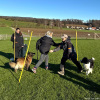2024_hundeplus_schnappschuesse_IMG_2583