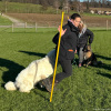 2024_hundeplus_schnappschuesse_IMG_2596