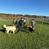 2024_hundeplus_schnappschuesse_IMG_2597
