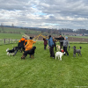 2024_hundeplus_schnappschuesse_IMG_2931
