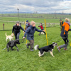 2024_hundeplus_schnappschuesse_IMG_2937