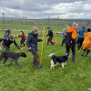 2024_hundeplus_schnappschuesse_IMG_2939