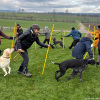 2024_hundeplus_schnappschuesse_IMG_2943