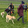 2024_hundeplus_schnappschuesse_IMG_2946