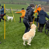 2024_hundeplus_schnappschuesse_IMG_2947