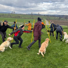 2024_hundeplus_schnappschuesse_IMG_2951