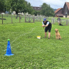 2024_hundeplus_schnappschuesse_cc18dc15-d3a9-4d1a-82f6-96cd4e866219