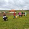 2024_hundeplus_schnappschuesse_f110b5ad-a309-49d4-81eb-88aaae6126fa