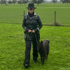 2024_hundeplus_schnappschuesse_fa36cd1d-c013-4ec6-b6c9-ceb21da9a162