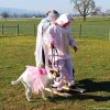 2025_hundeplus_schnappschuesse_6c6776fc-9838-4552-89b2-1659a2c042b0