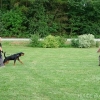 2012_schutzdienst_P1040819