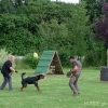 2012_schutzdienst_P1040827