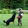 2012_schutzdienst_P1040845