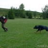 2012_schutzdienst_P1040855
