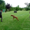 2012_schutzdienst_P1040867