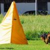2012_schutzdienst_bild_001
