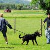 2012_schutzdienst_bild_003
