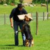 2012_schutzdienst_bild_005