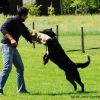 2012_schutzdienst_bild_012