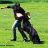 2012_schutzdienst_bild_016
