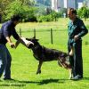 2012_schutzdienst_bild_019