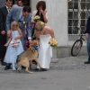 2008_spalier_Andrea_Paede-241