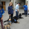 2008_spalier_DSC02787