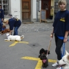 2008_spalier_DSC02788