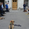2008_spalier_DSC02789