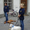 2008_spalier_DSC02790