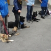 2008_spalier_DSC02792