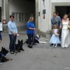 2008_spalier_DSC02794