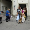 2008_spalier_DSC02795