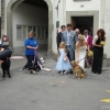 2008_spalier_DSC02797