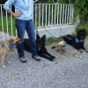 2008_spalier_DSC02801