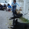 2008_spalier_DSC02803