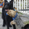 2008_spalier_DSC02806