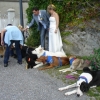 2008_spalier_DSC02815
