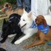 2008_spalier_DSC02816