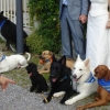 2008_spalier_DSC02817