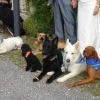 2008_spalier_DSC02818
