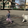 2012_therapiehunde-einsatz_DSC07234