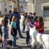 2012_therapiehunde-einsatz_DSC07237