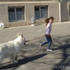 2012_therapiehunde-einsatz_DSC07238