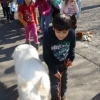 2012_therapiehunde-einsatz_DSC07242