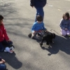 2012_therapiehunde-einsatz_DSC07247